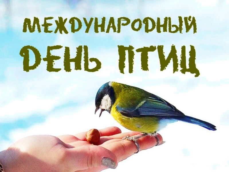 Международный день птиц.