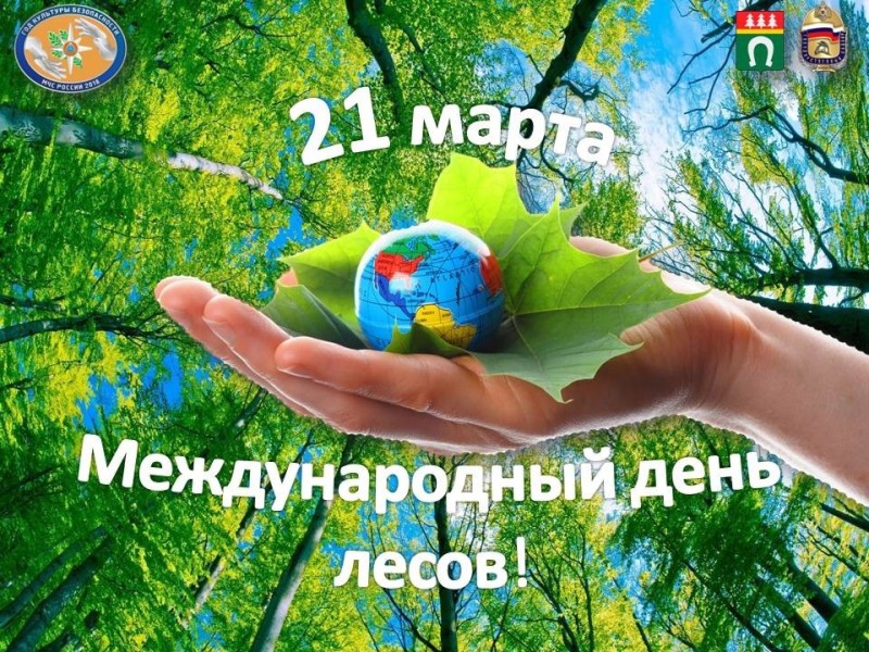 Международный день леса в дошкольной группе.