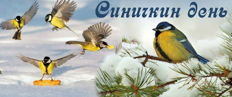 12 ноября "Синичкин день".