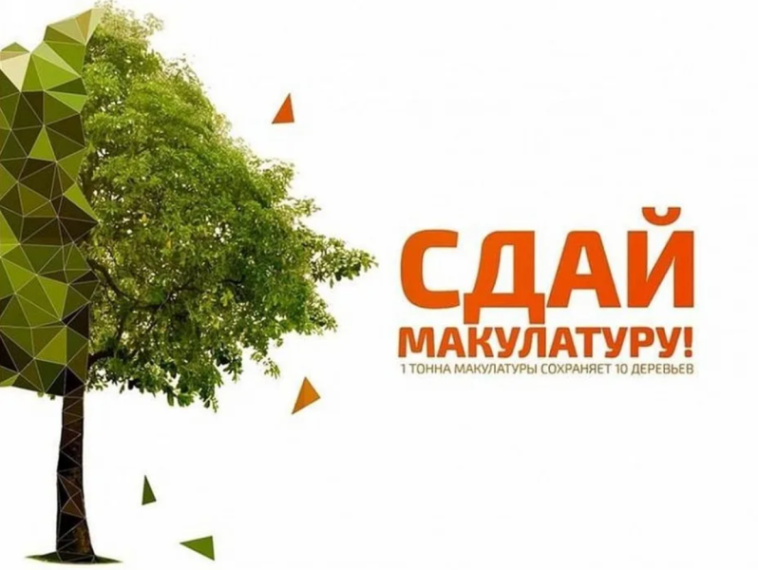 Акция по сбору макулатуры &quot;Сдай макулатуру - спаси дерево&quot;.